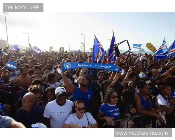 喀麦隆与尼日利亚激战结果揭晓双方表现引发热议 喀麦隆与尼日利亚激战结果揭晓双方表现引发热议